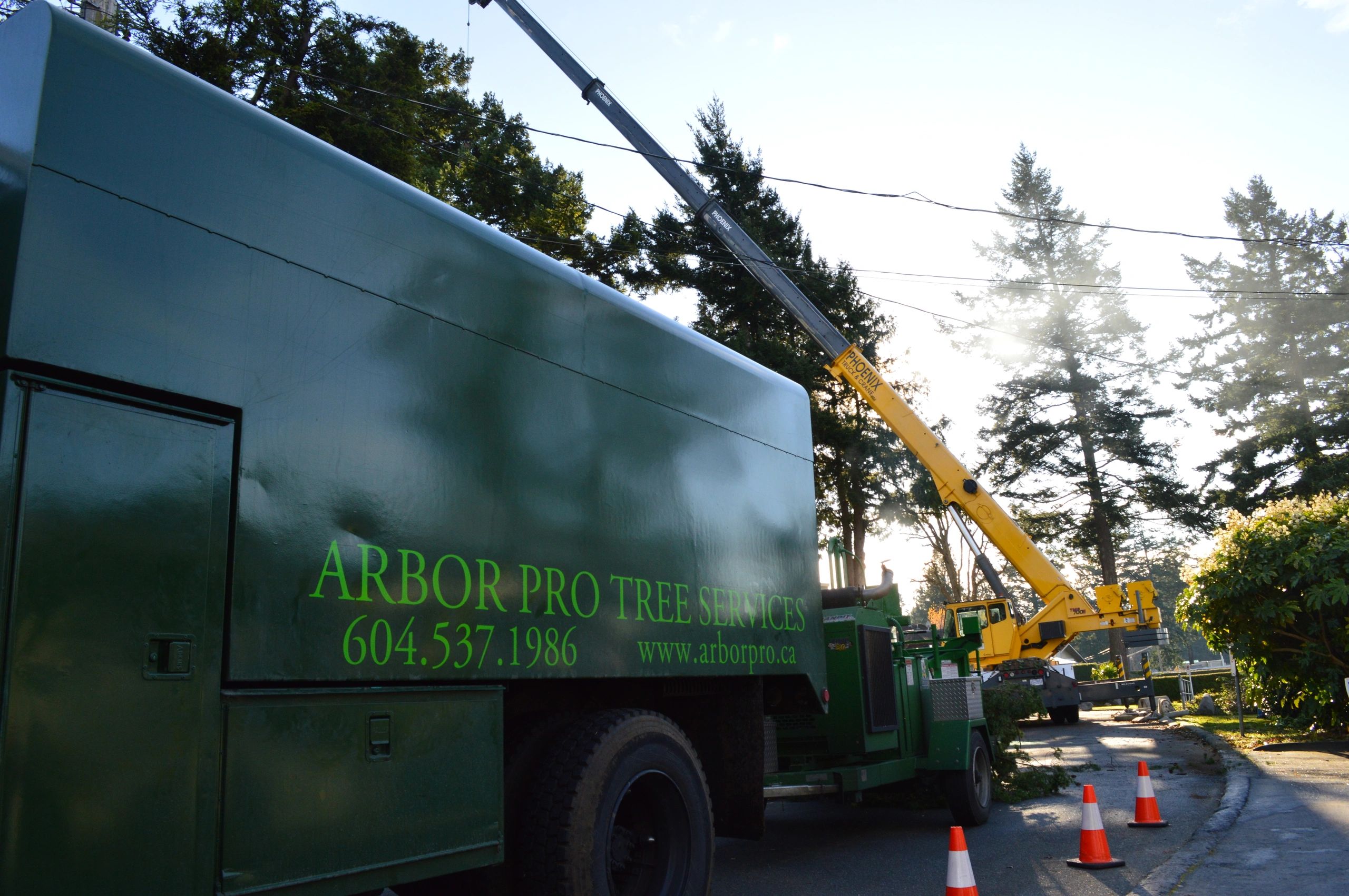 A large Arbor Pro Tree Services truck and crane is parked along a residential street in Maple Ridge BC, with orange cones nearby.