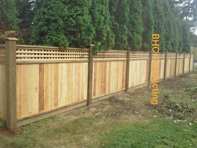 A long, light brown wooden fence with a lattice top sits in a yard in Maple Ridge BC, next to tall evergreen trees.