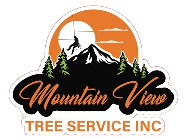 The logo for Mountain View Tree Service INC features a silhouette of a person rappelling down a mountain with a sun in the background, possibly referring to services offered in Maple Ridge BC.
