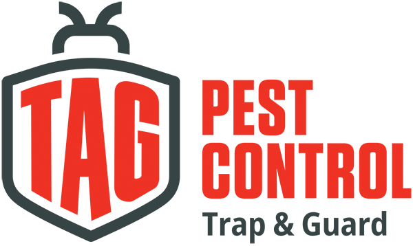 A logo with the text Maple Ridge BC, presented in a bold red color, against a dark gray background.