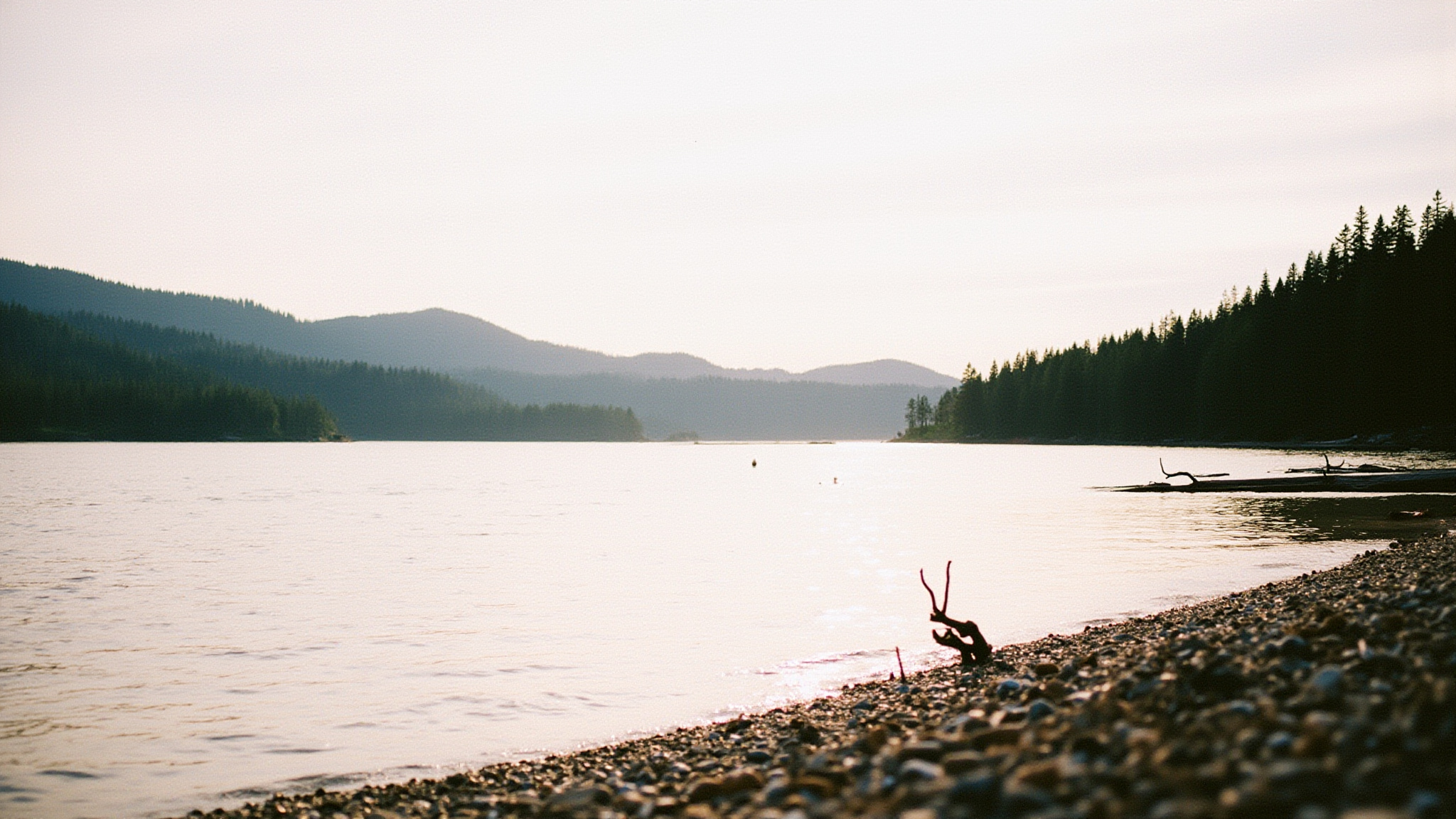 What Makes Maple Ridge Canada Day Feel Like Ours