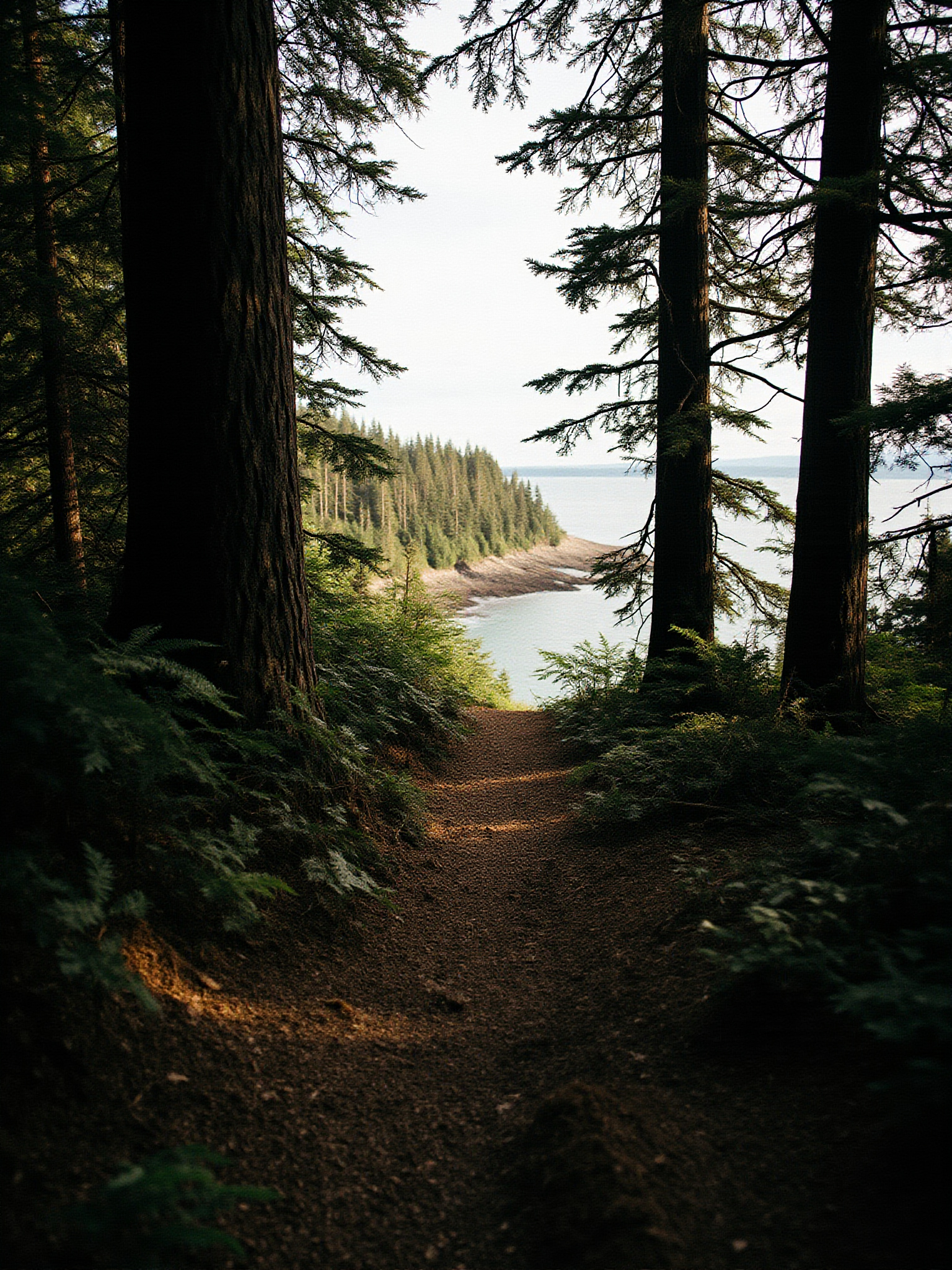 Alouette Lake: Beach, Swimming, and Paddling