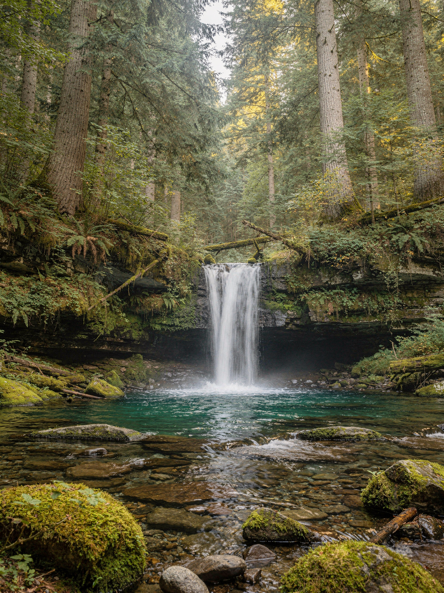 Trails: Gold Creek Falls and the Golden Ears Summit