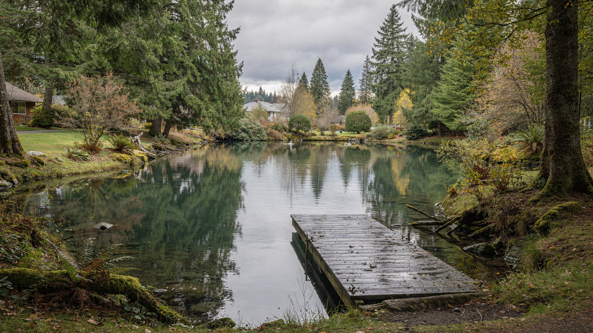 Whonnock Lake Park pond and dock surrounded by mature trees in Maple Ridge