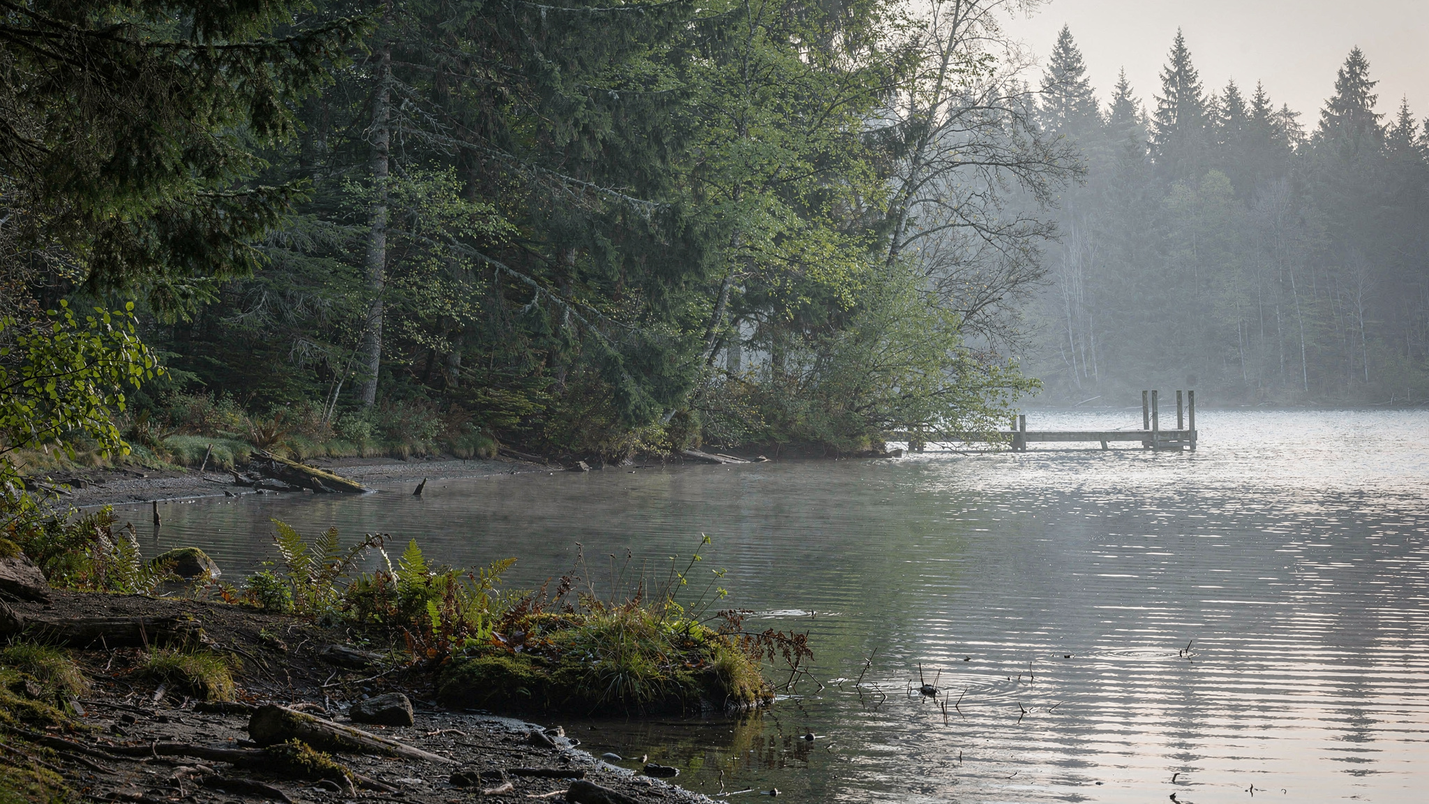 whonnocklake hero mapleridge Whonnock Lake Park: A Neighbourhood Guide to Maple Ridge's Favourite Small Lake Whonnock Lake Park: A Neighbourhood Guide to Maple Ridge's Favourite Small Lake